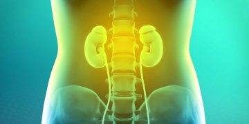 نارسایی کلیه