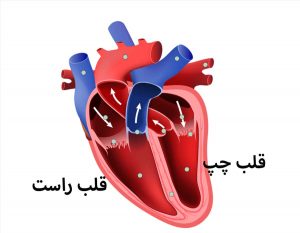 انواع نارسایی قلبی