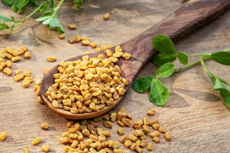 دم نوش ها و روش های طب سنتی و گیاهی برای پایین اوردن چربی خون 